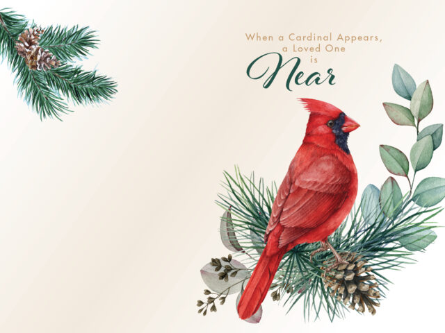 SSYM-031425-3154-Cardinal