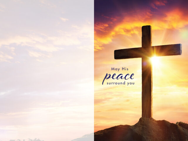 SSYM-031425-3154-Cross