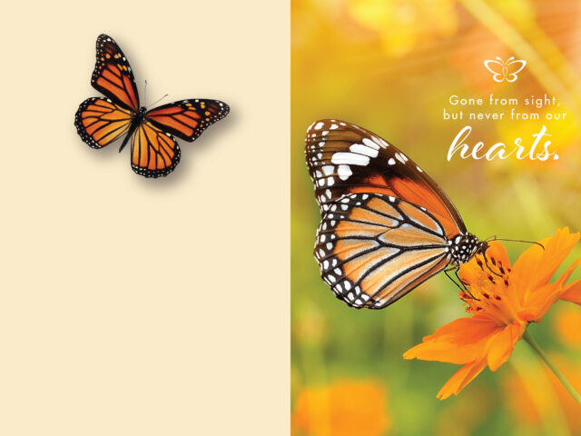 SSYM-031425-4909-Butterfly